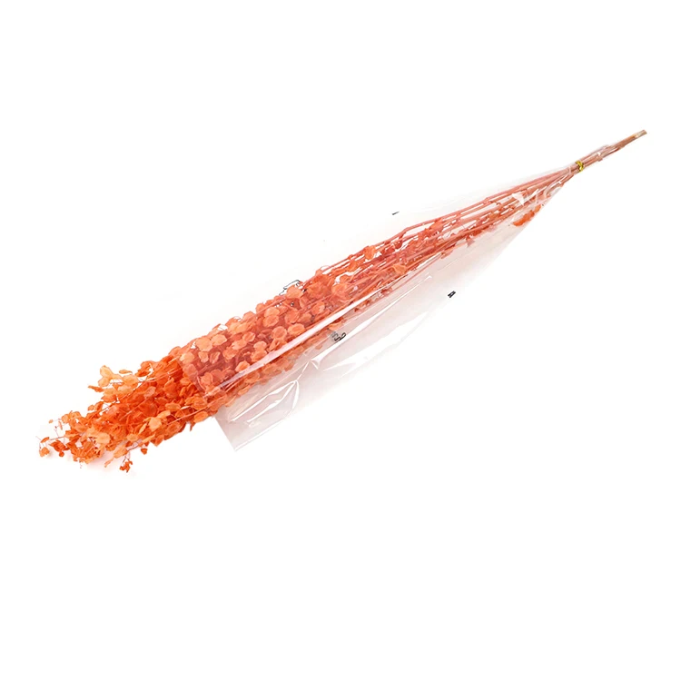 high quality preserved flower real touch flower na