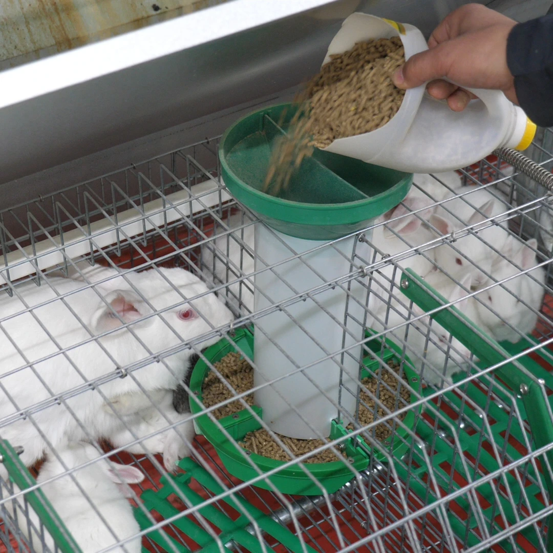 rabbit automatic feeder