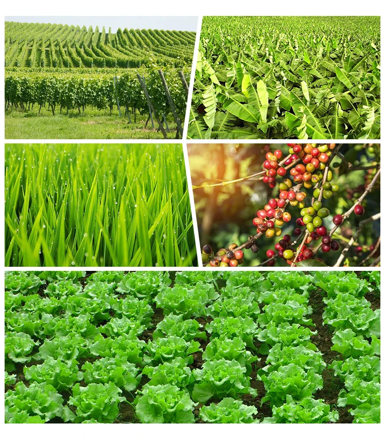 4farm UAV duster drone.jpg