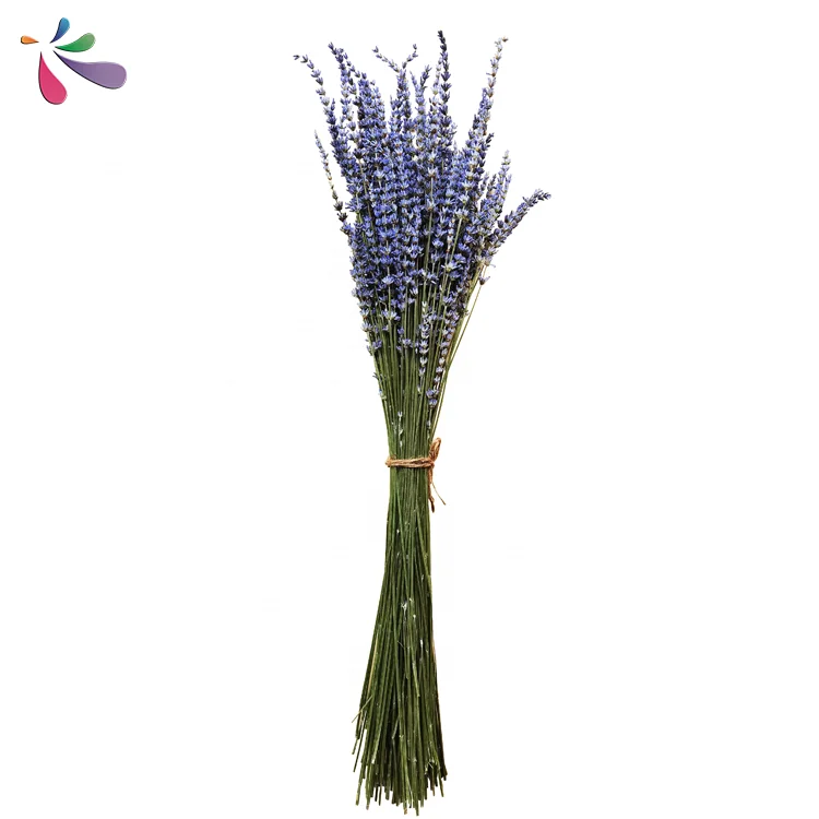
wholesale dried lavender flowers 100% natural bouquet pure home and wedding decoration material 