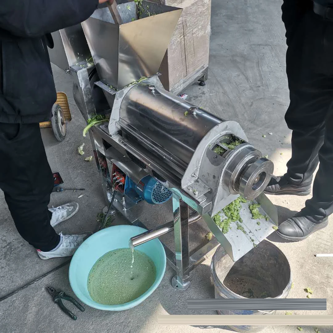 5t commercial fruit and vegetable screw presser s