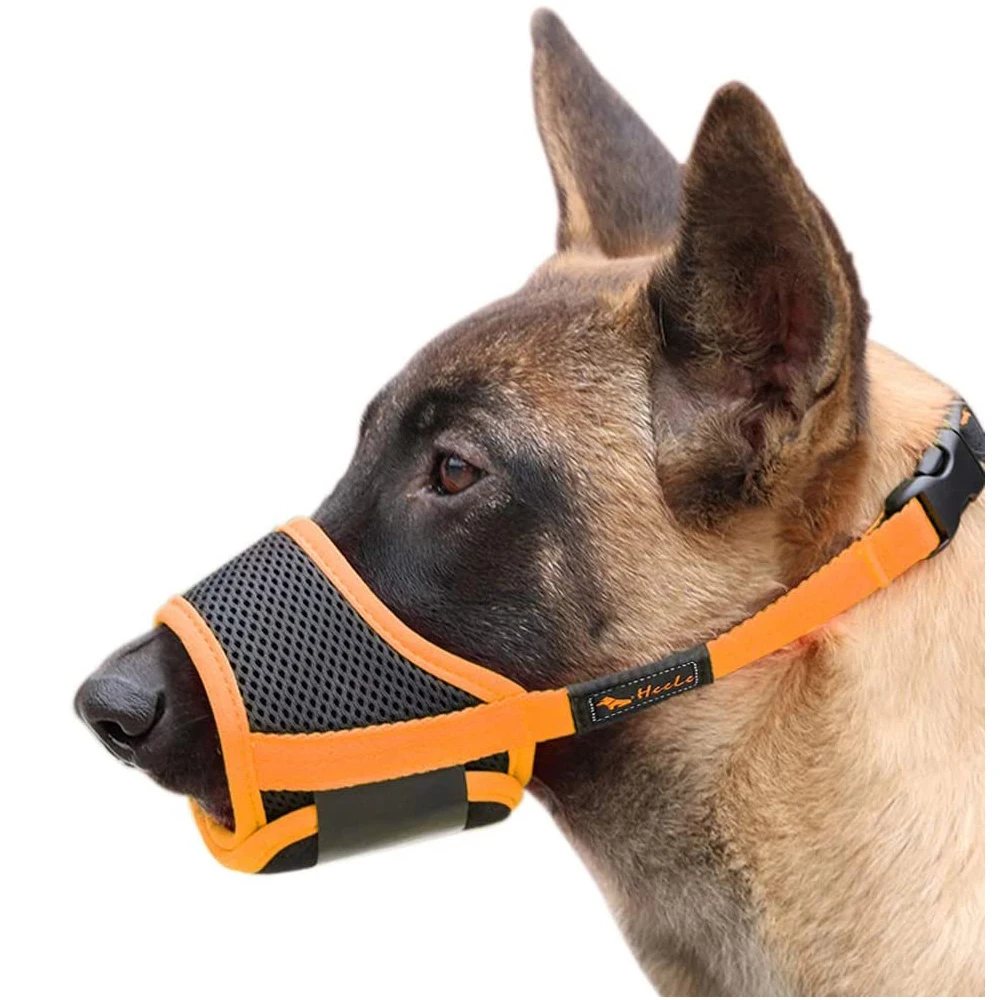 funny dog muzzle