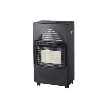 rinnai gas heater