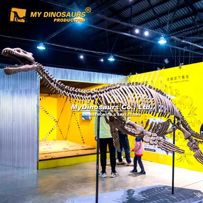 My Dino XJ345 Hanging Dinosaur Skeleton - Life Size Plesiosaur