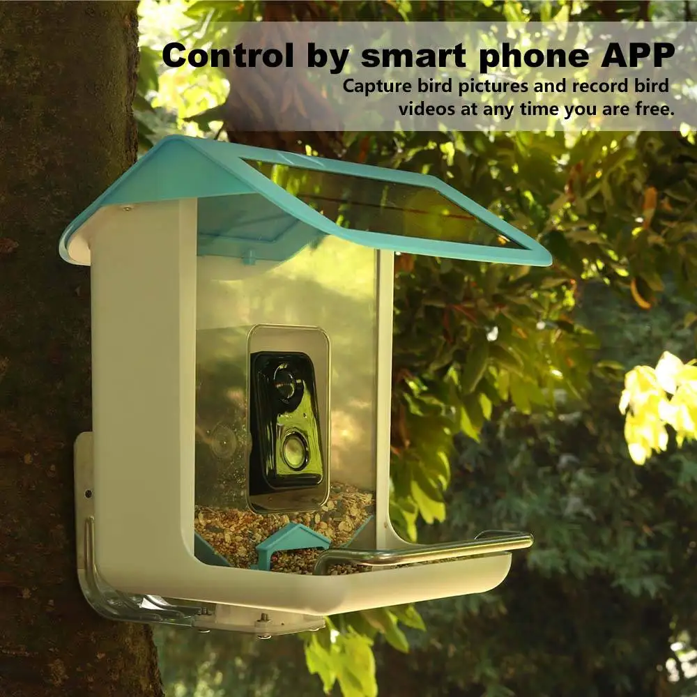 Ai Identify Smart Bird Feeder With Camera Use For Bird Lovers Ideal