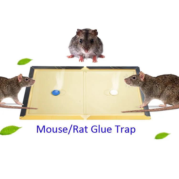 Mouse board. Бумажная мышь. Мышь клеить.