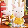 Plush Christmas Toys Plush Doll Stuffed Animal Soft Toy Present
