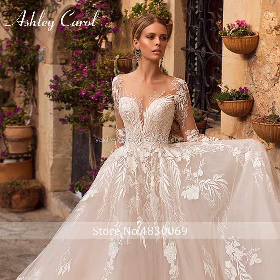 Sexy V-neck Appliques Tulle Wedding Dress 2020 Illusion Backless Long Sleeve Princess Boho Lace Wedding Gowns