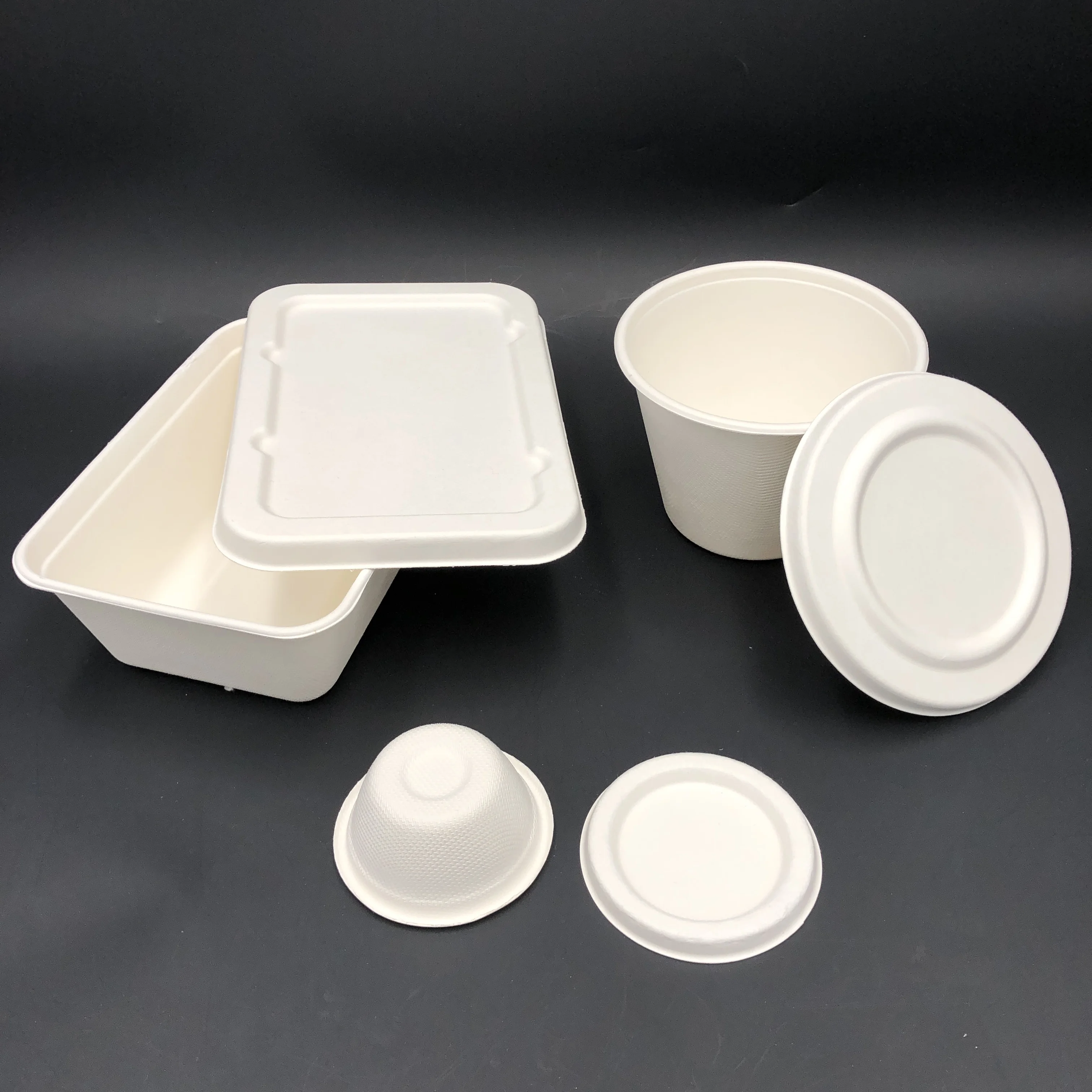 Sugarcane Bagasse Pulp Tableware Desechables Biodegradables Disposable 