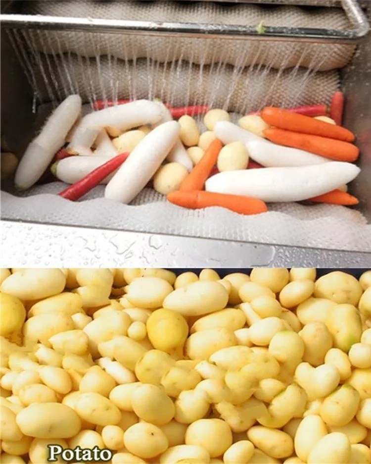 cleaning peeling machine5.jpg