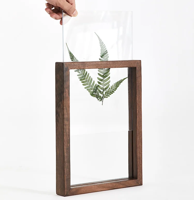 Transparent Acrylic Photo Frame Beech Wood Herbarium Specimen Diy Plant