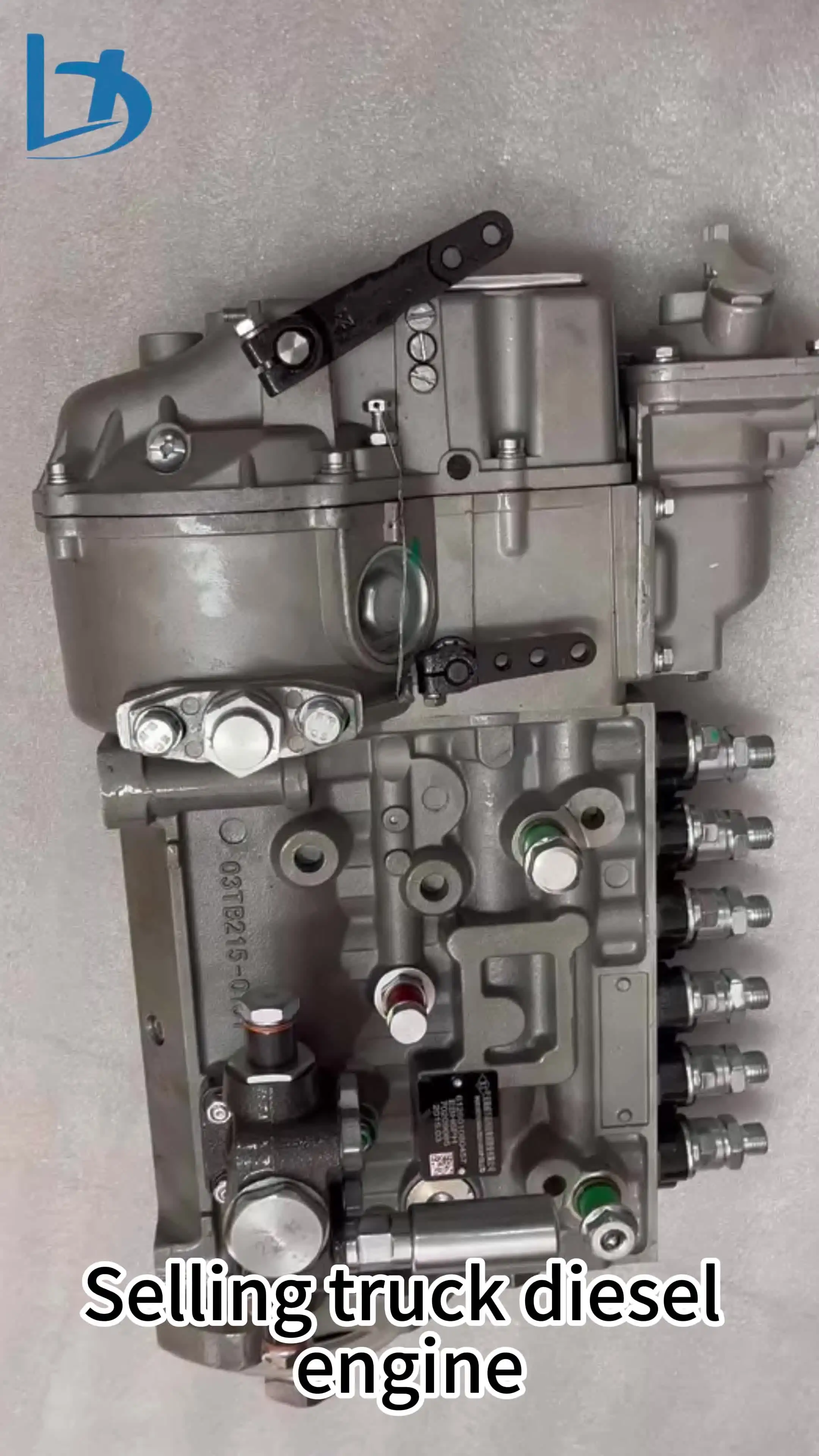 LANXIN Diesel Engine Fuel Injection Pump - High Quality