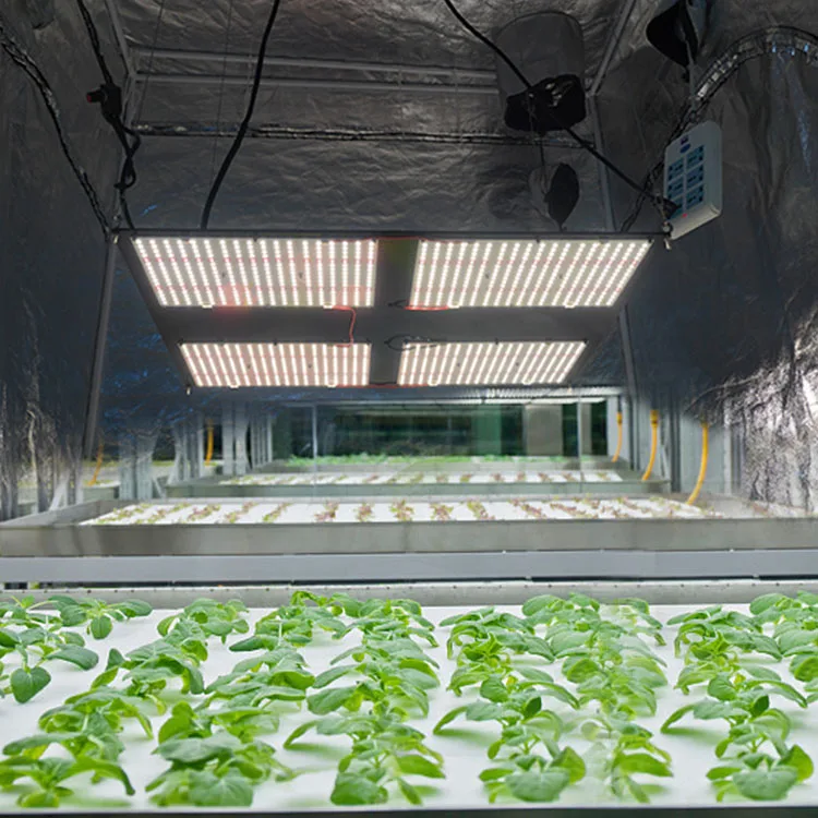 Meijiu Indoor House Plants V2 480w qb288 Board Samsung lm301b Full Spectrum led Grow Light for Greenhouse 4x4 Grow Tent
