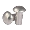 DIN674 mushroom head furniture rivets