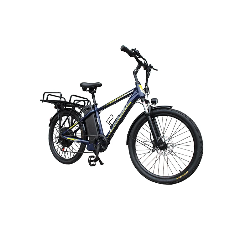 1000 W Electric Bicycle 48 V 20ah E Battery Bike 26 Inch Mountain For Sports High Power Electric