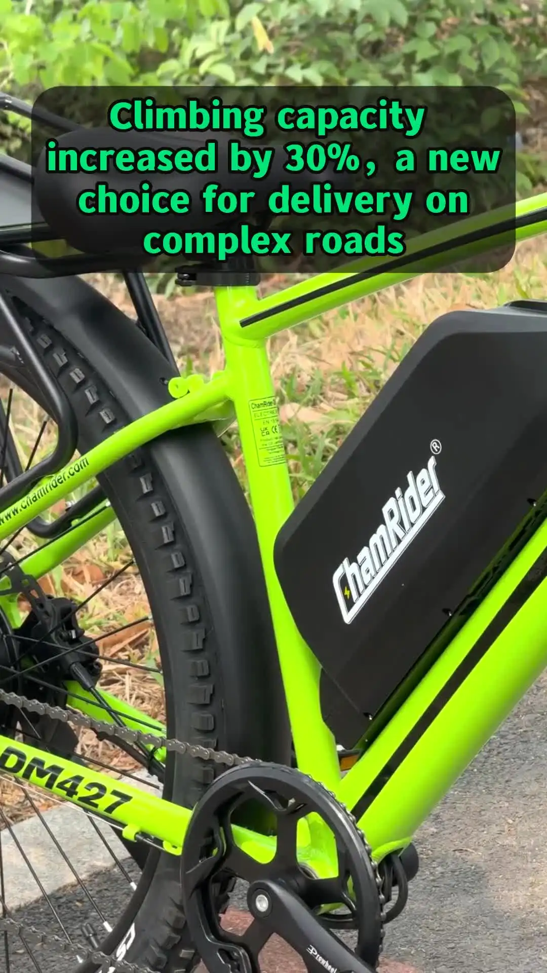 DM427 ChamRider 750W Electric Mountain Bike - 48V, 27Ah, 10 Speed