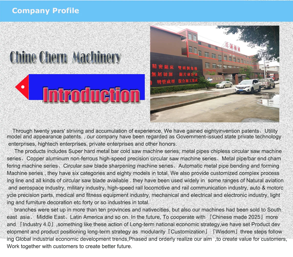 company profile2