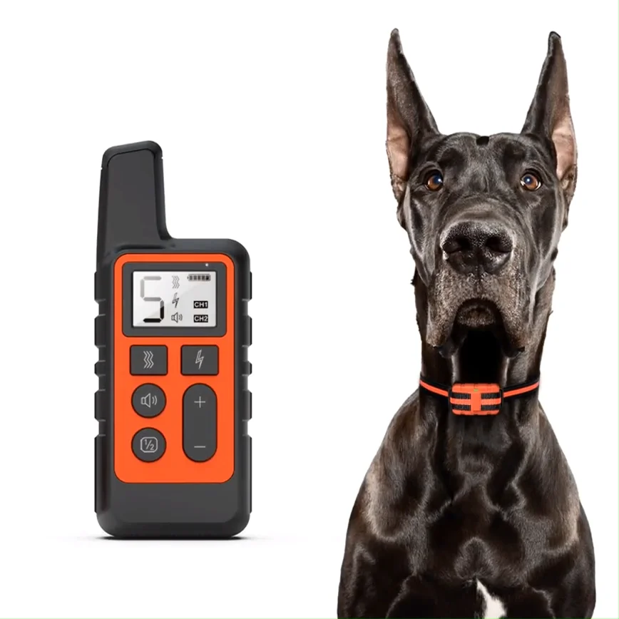 Электроошейник для дрессировки собак. Ошейник Remote Dog Training Collar. Электронный ошейник для дрессировки собак Dog Training Collar t166. Электронный ошейник для собаки Dog Training Collar TC-20. Электро ошейники для собак до 500м.