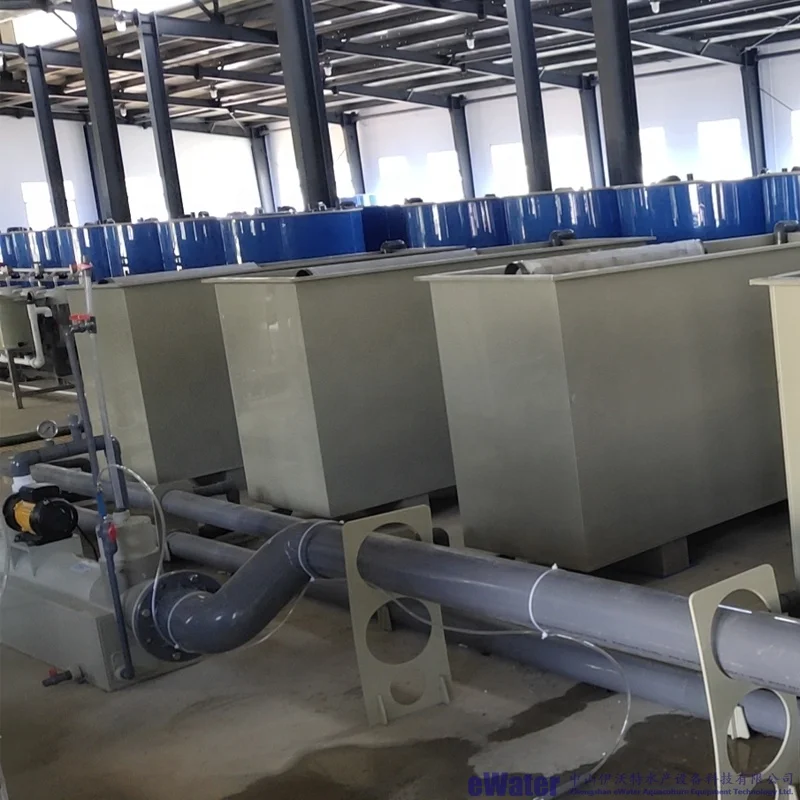 Fish Breeding Hatchery Tilapia Fish Hatchery Equipment For Sale Buy Tilapia Hatchery Equipment