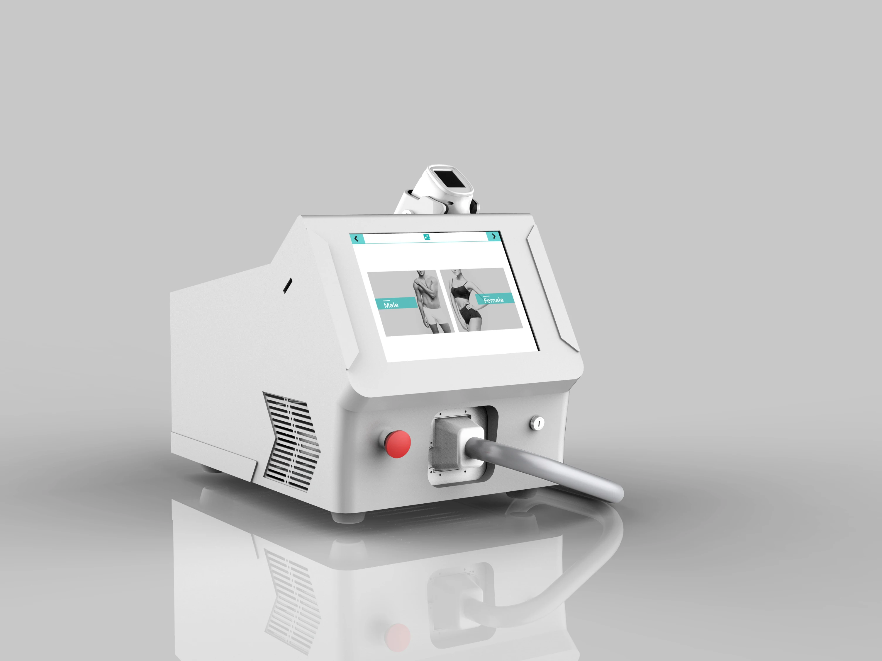 808T 02.jpg