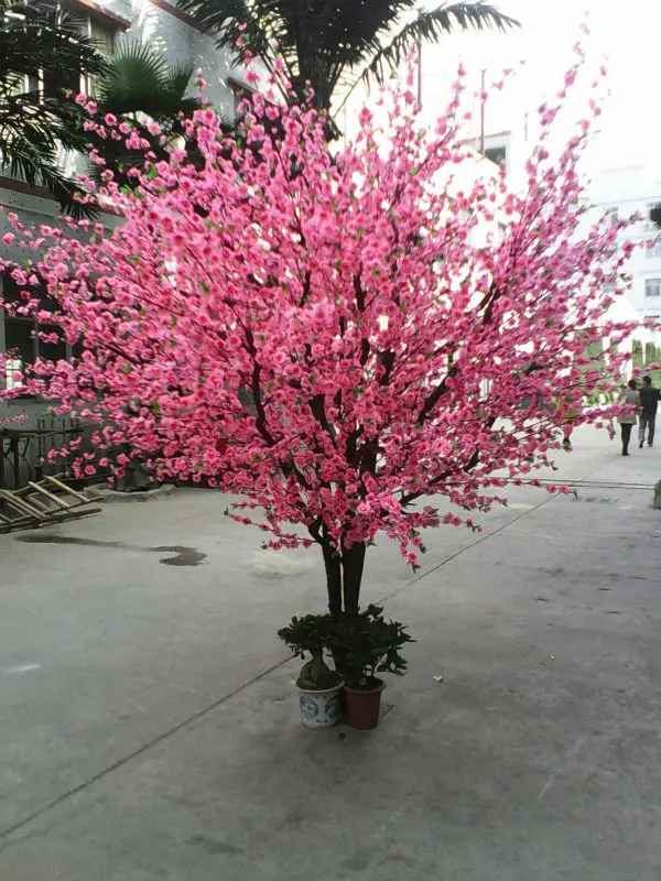 Fake Silk Blossom Trees Made In China Cheap Artificial Plastic Cherry Blossom Tree On Sale Buy Artificial Indoor Cherry Blossom Tree Cherry Blossom Bonsai Tree Mini Cherry Blossom Tree Product On Alibaba Com