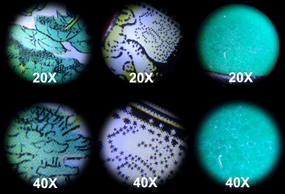 Microscopio de Bolsillo de 20 a 40X Zoom Lupa De Luz LED iluminado con 2 Diapositivas 