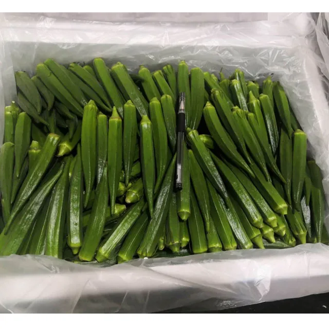 
Hot selling Organic Fresh Okra by Frozen food manufacture have okra planting base 