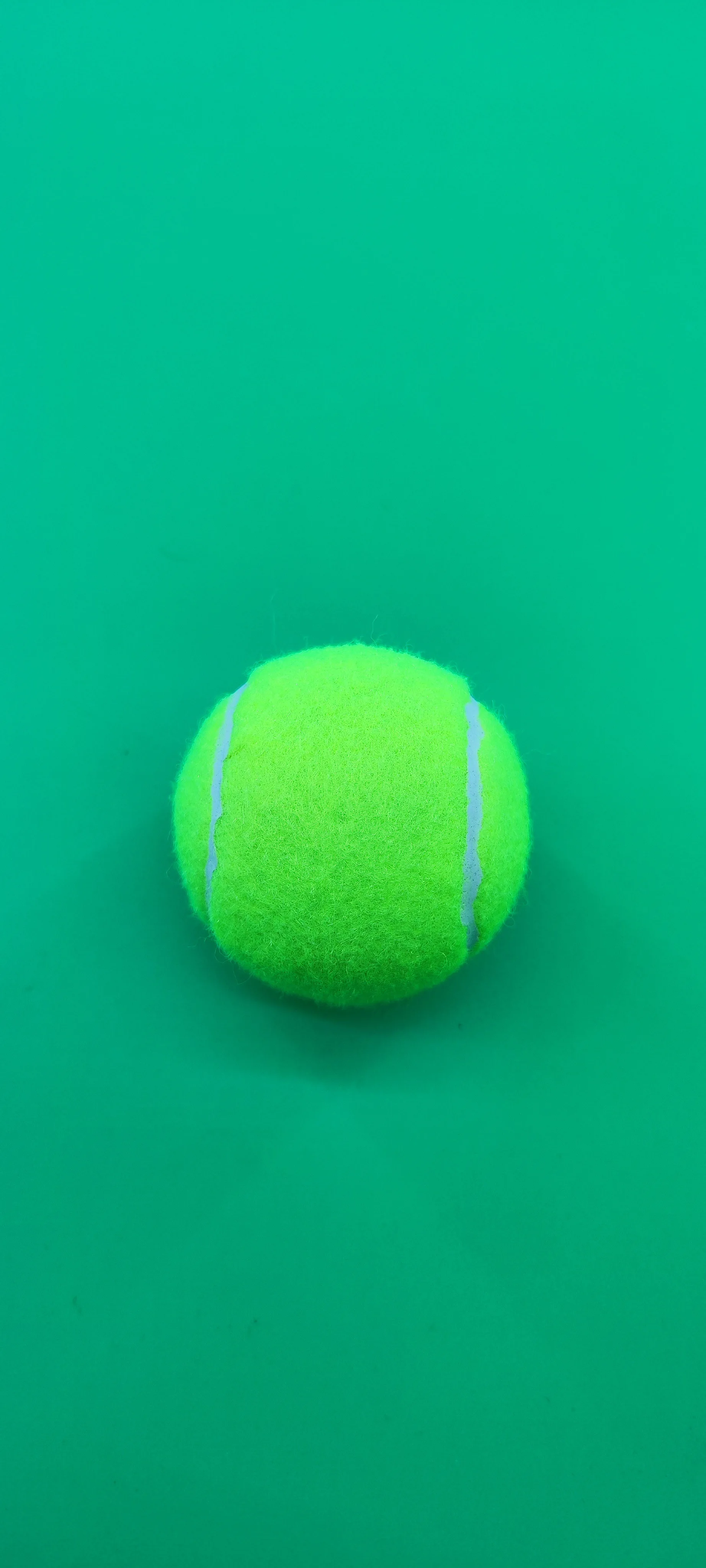 Tennis 919 12 Sports Training Balls for Badminton and Tennis Printed Logo Wear Resistant Cost-effective Plastic Bag Packaging