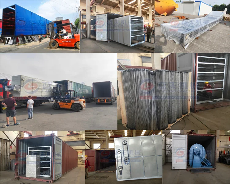 mesh belt dryer shipping.png