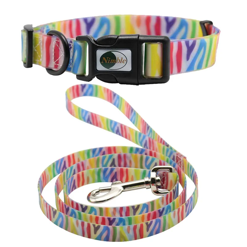 fancy dog collars and leashes