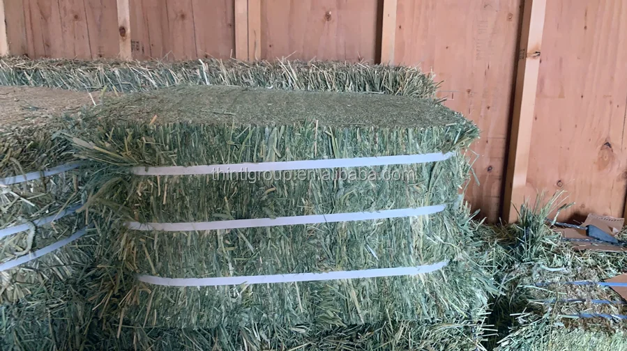 30kg double compressed