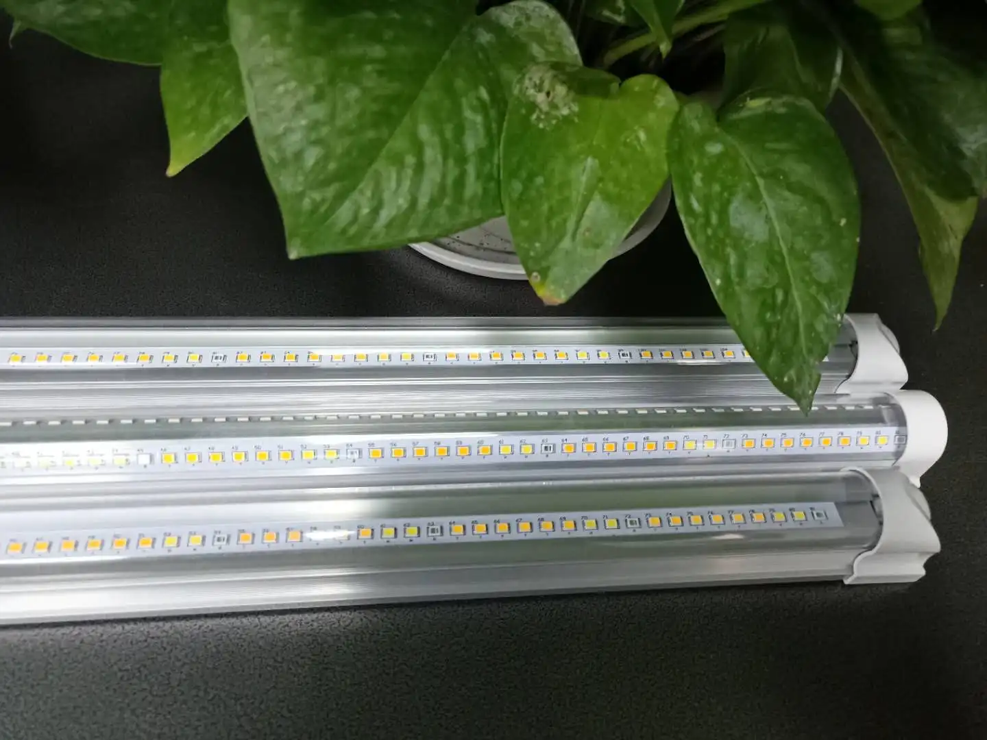 Hydroponics 36w 4ft T5 Grow Light Ip65 T8 Full Spectrum Leds Grow Light