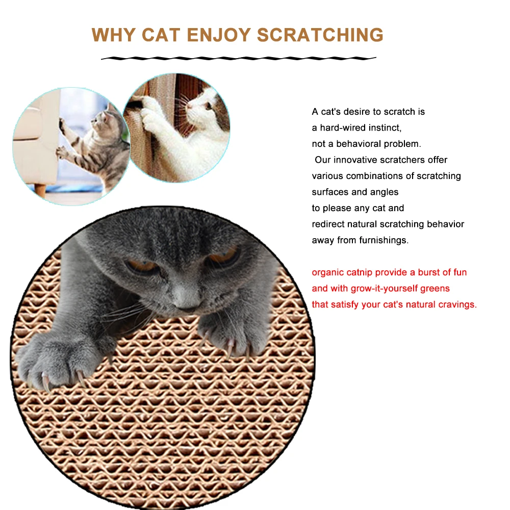 why cat scratching