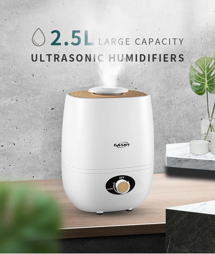 New arrive Portable ultrasonic air humidifier 2.5L 380ml/h humidifier