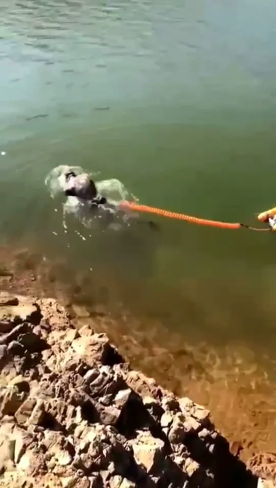 Battery Powered Portable Diving Compressor Hookah With Floating System