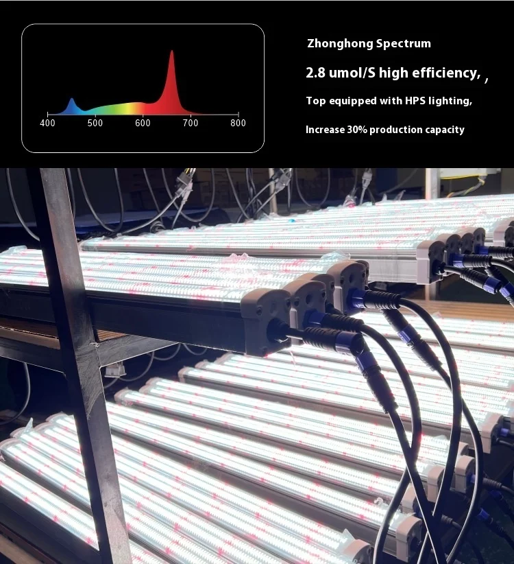product full spectrum cob led plant tree light ip65 undercanopy bottom supplement for greenhouse vegetable seedling cross border bloom-7