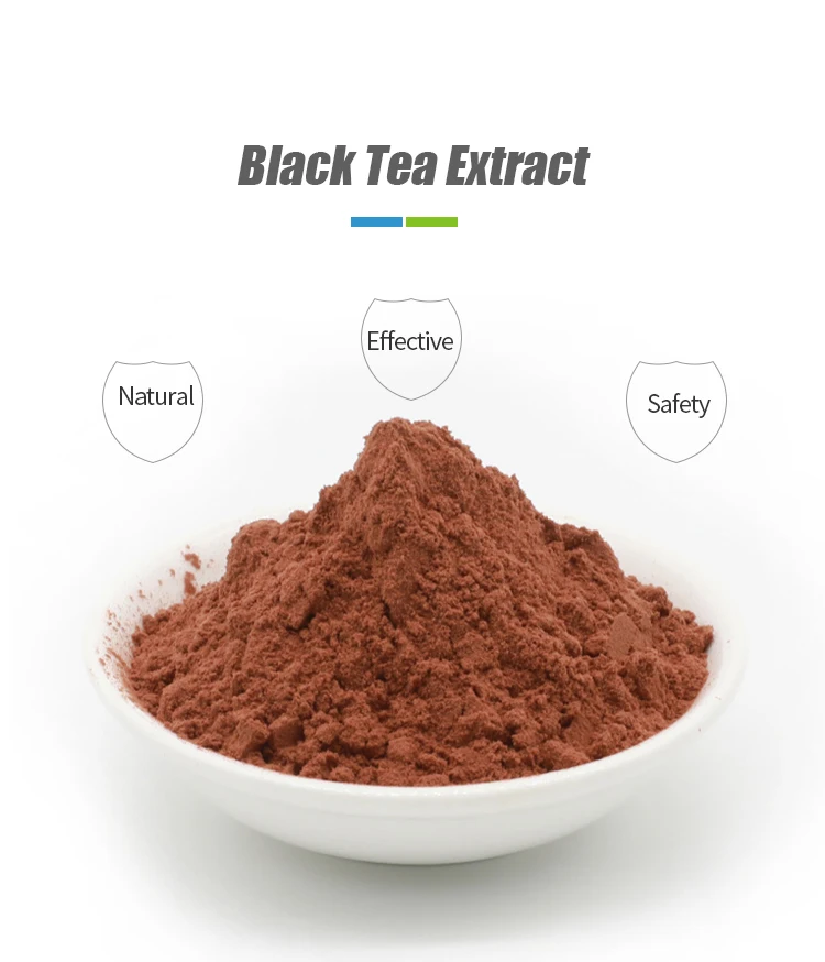 Sciencarin Supply Black Tea Extract 1040 Theaflavin Buy Black Tea
