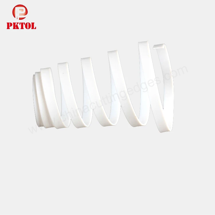 roland Guard Strip.jpg