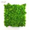 2020 Environmental Preserved Reindeer Moss for Wall Office Decoration