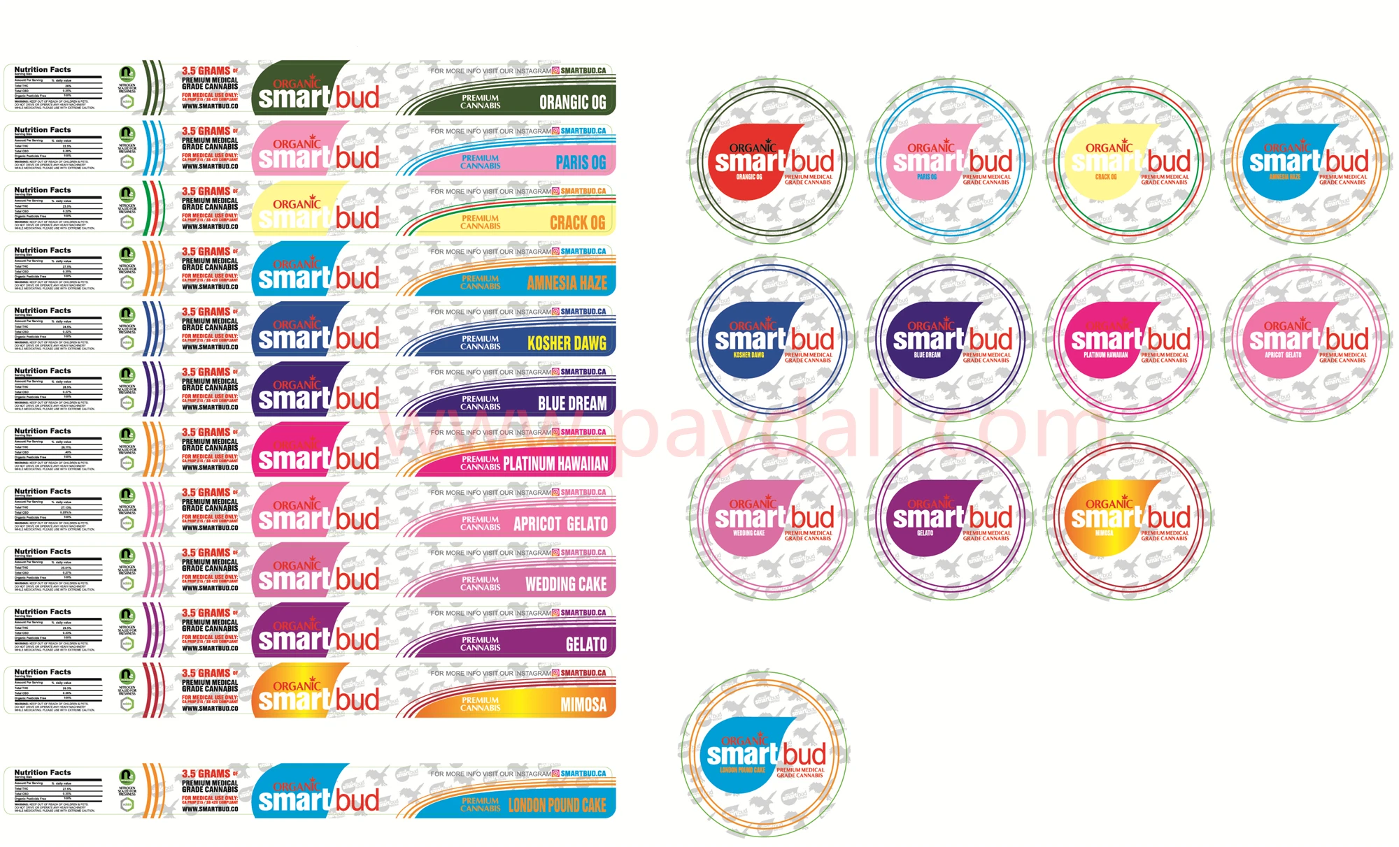 SMARTBUD  paydall.jpg