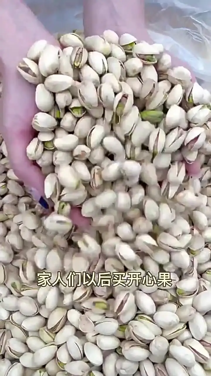 【pistàcchio 】SHIN NIHON ZOKEI SNP-17 pistàcchio 】SHIN NIHON ZOKEI SNP-17 pistàcchio 】SHIN NIHON ZOKEI