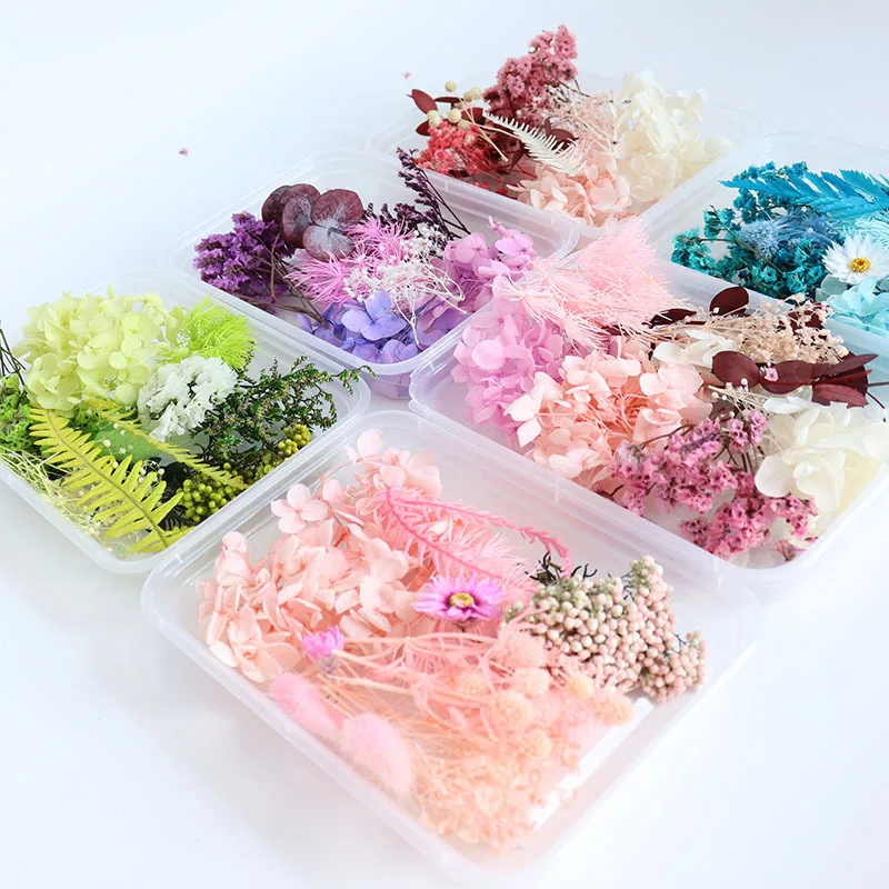 Real Natural Dried Flower For Diy Accessories Handmade Crafts Home ...