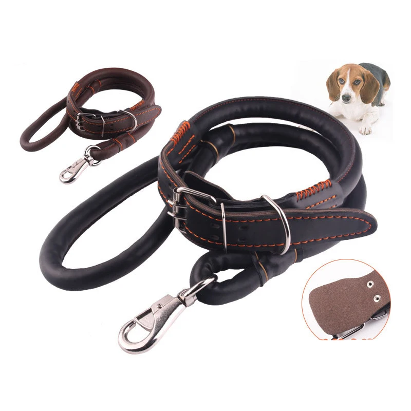 big dog collars leashes