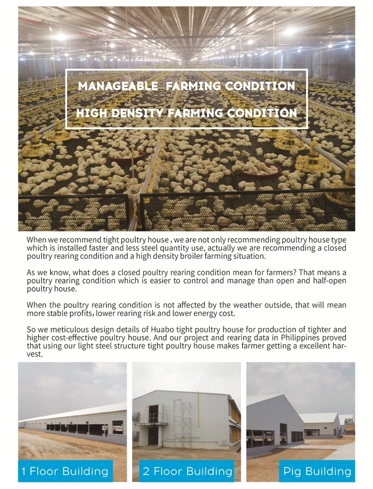 Professional Commercial Chicken House Buy Commercial Chicken House