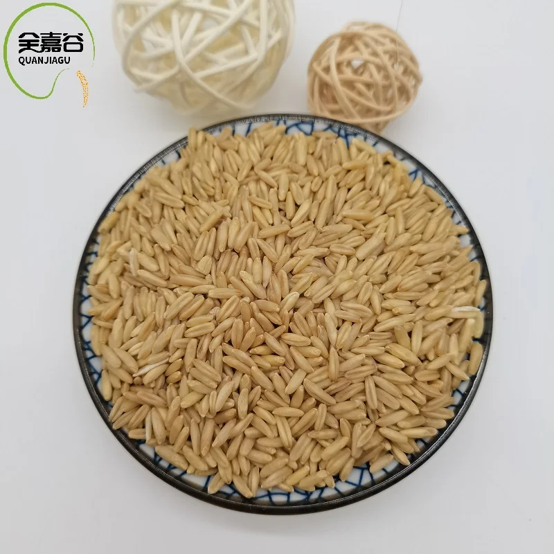优质燕麦营养去壳有机燕麦批发