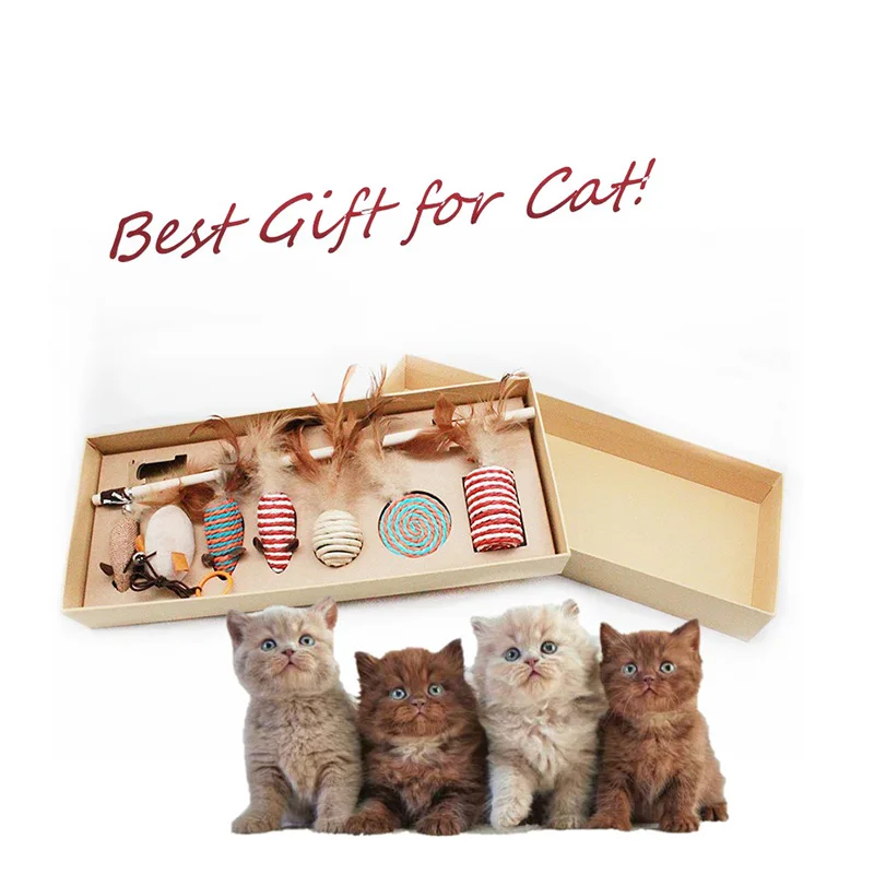 buy cat toys online