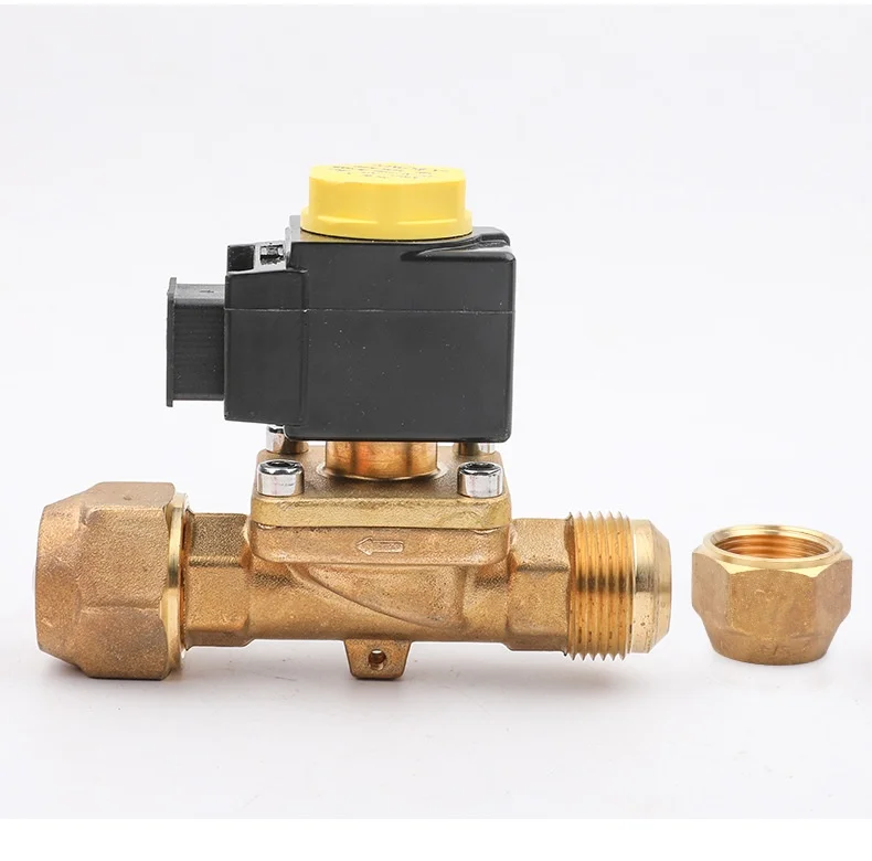 Solenoid Valve, 220V - detail 22
