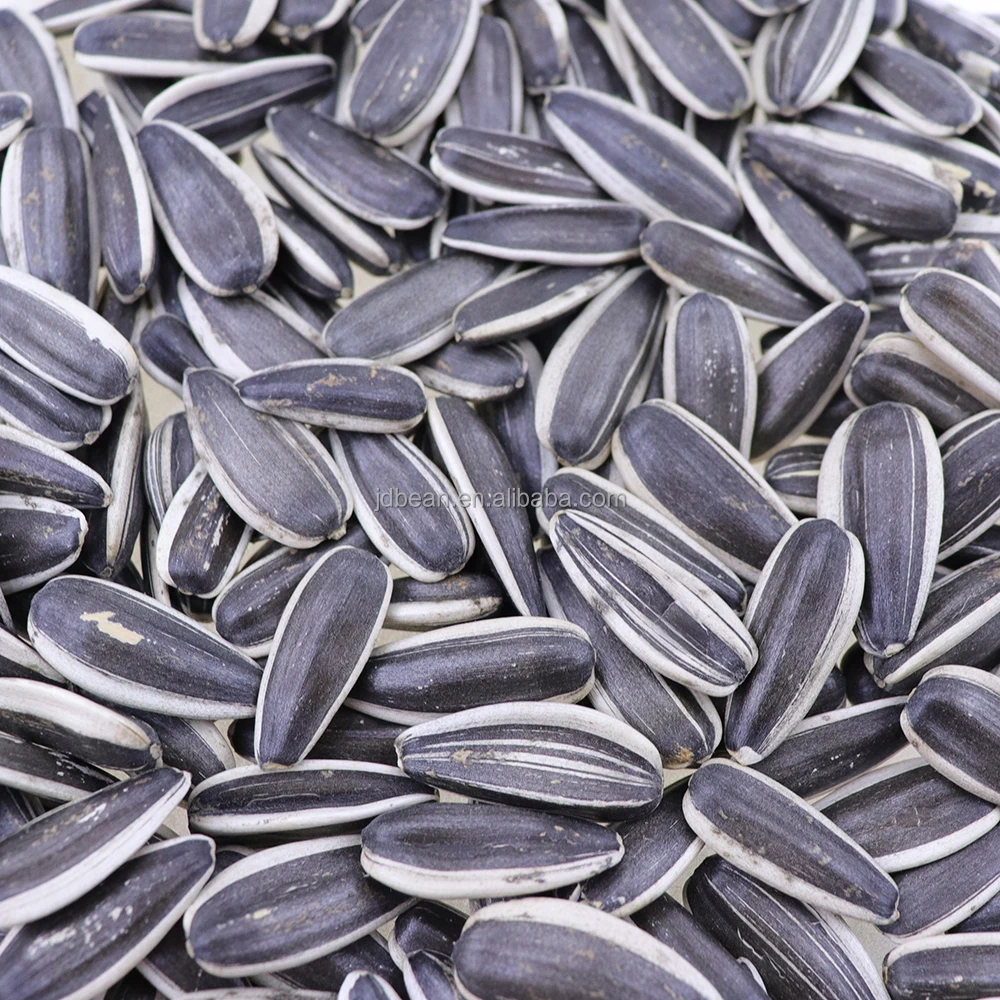 European Quality Sunflower Seeds 1 Ton Price Hybrid Sunflower Seeds For