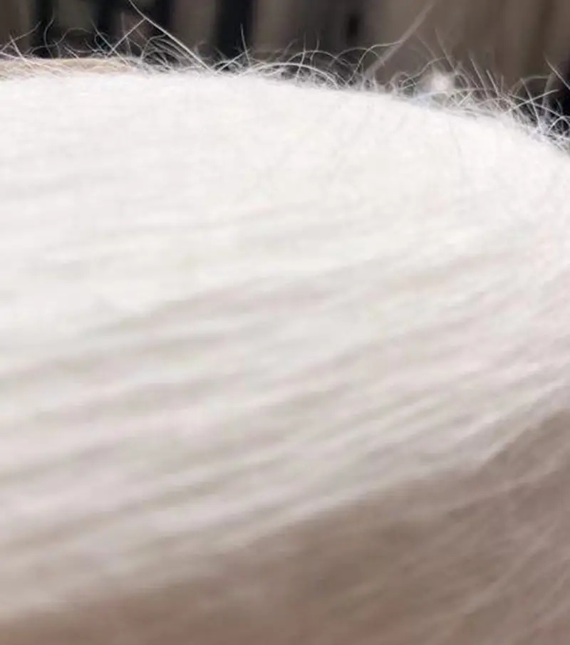 angora blended yarn 3.jpg