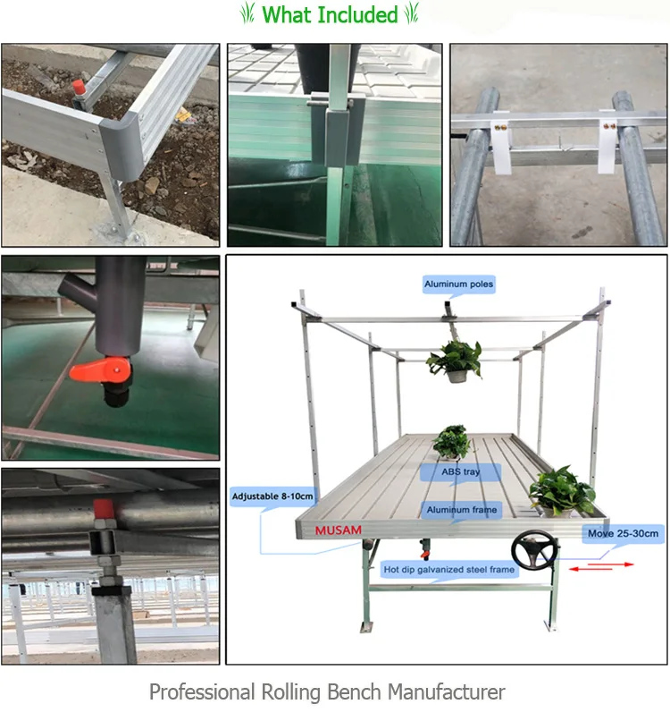 ABS material ebb and flow  moveable trays use for seed culture